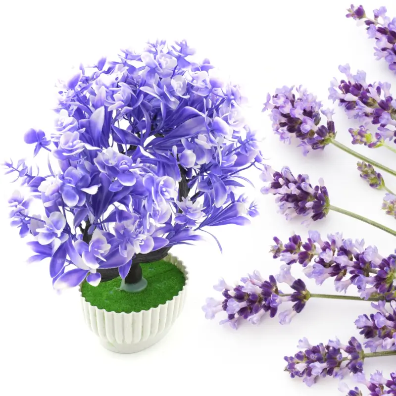 uLYRslmsCWSHsBx3ziImrQL9G0bw41TeWKImPTQ2.webp